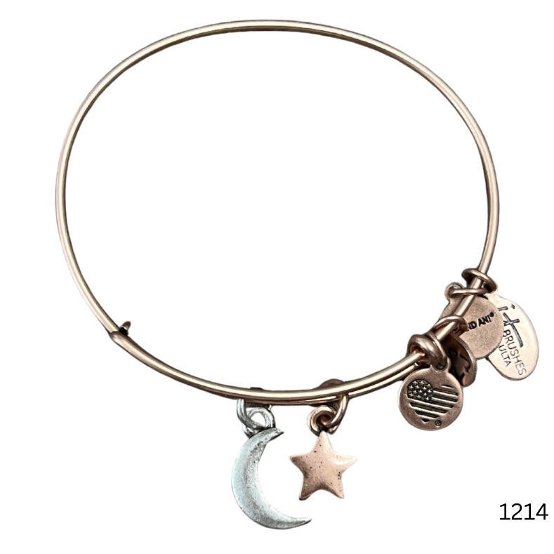 1214 Alex And Ani Gold And Silver Charm Bracelet